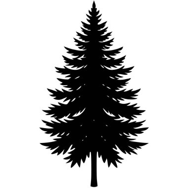 çam ağacı silueti, vektör illüstrasyon tasarımı