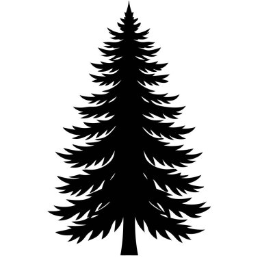 çam ağacı siluet beyaz arka plan üzerinde