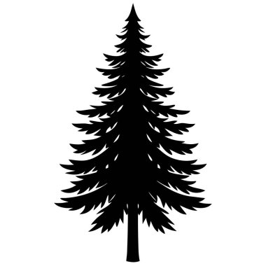 Beyaz arkaplanda çam ağacının vektör silueti.