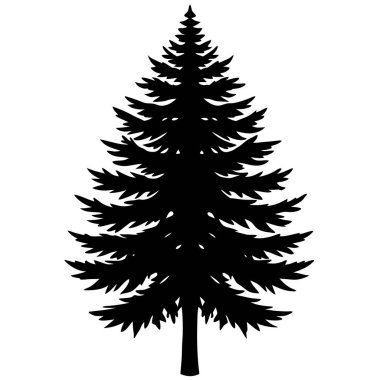 çam ağacı silueti izole edildi