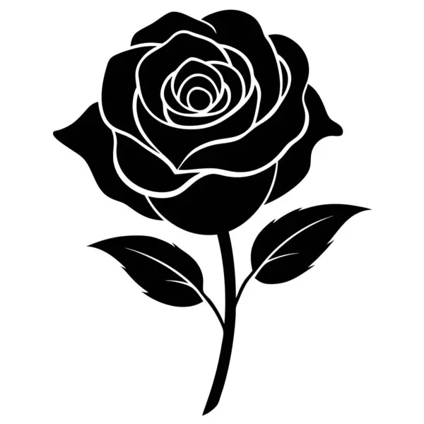 gül çiçeği siyah ve beyaz