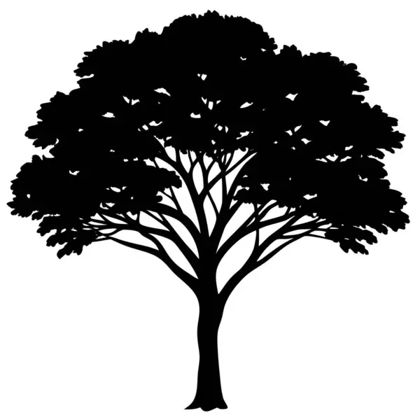 black tree silhouette. vector illustration. tree vector art