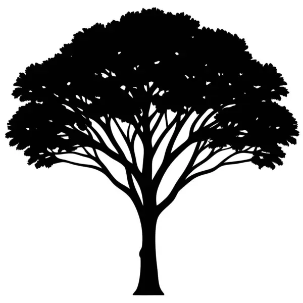 black tree silhouette. vector illustration. tree vector art