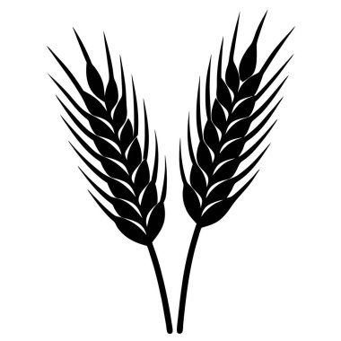 Buğday kulak ikonu. Kulak vektörünün siyah çizimi