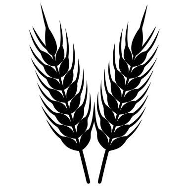 Buğday kulaklığı. vektör illüstrasyonu.