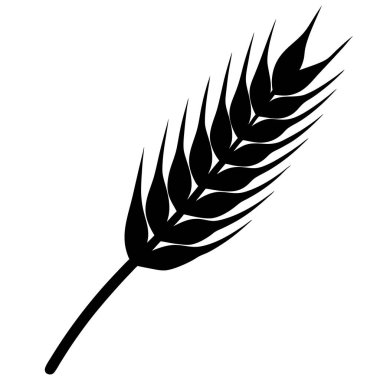Buğday ikonu vektörü. Düz vektör simgesi. siyah izole arkaplan.