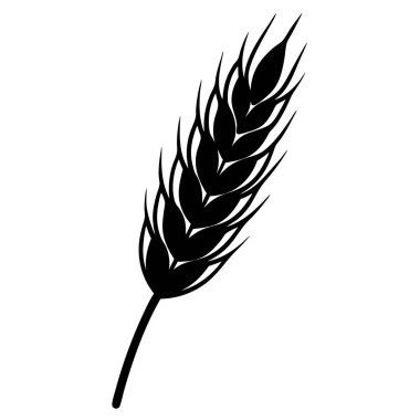 Buğday kulak vektör simgesi. Siyah kulak vektörü simgesi beyaz arkaplanda izole edildi