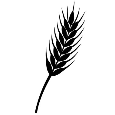Bir buğday dalının izole edilmiş silueti, vektör çizimi