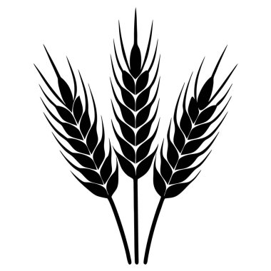 Vektör buğday simgesi. buğday.