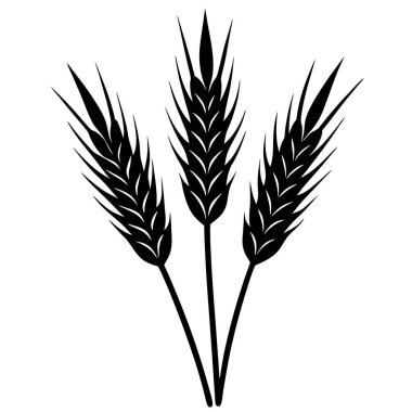Buğday kulağı ikonu. Buğday vektörü simgesinin özet çizimi