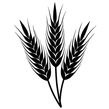 Buğday kulaklarının vektör çizimi