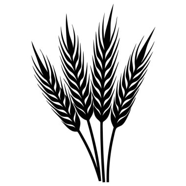 İzole edilmiş buğday ve buğday sembolü. Buğday ve hasat vektör simgesi kümesi