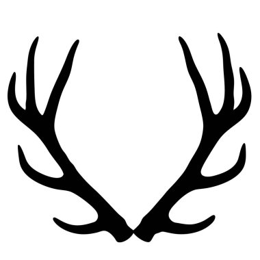 geyik boynuzları vektör illüstrasyonu