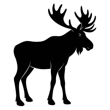 İzole edilmiş beyaz boynuzlu siyah geyik.