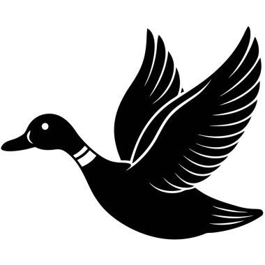 Kuş ördeği, illüstrasyon, beyaz arkaplan vektörü