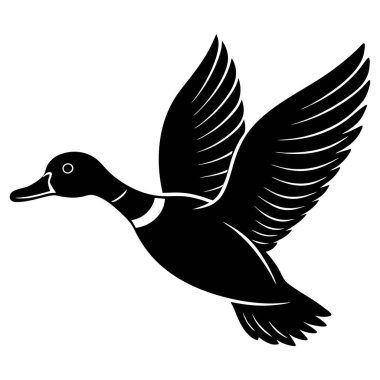 Vektör çizimi. Beyaz arkaplanda uçan ördek.