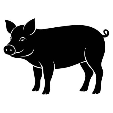 Siyah bir domuz silueti. vektör illüstrasyonu.