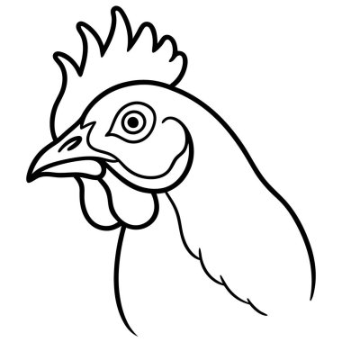 kuşun vektör illüstrasyonu