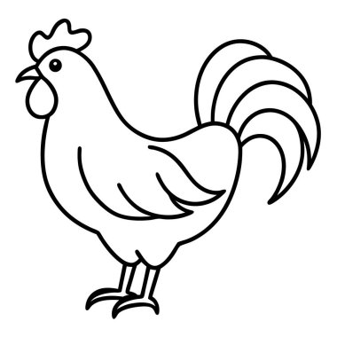 vektör, beyaz bir arka plan üzerinde tavuk