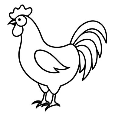 Horozun vektör illüstrasyonu