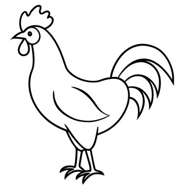 Tavuk hatları vektör sanatı