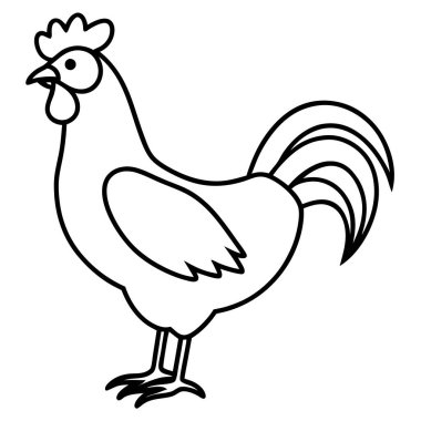 Bir tavuk çizgi filminin vektör çizimi