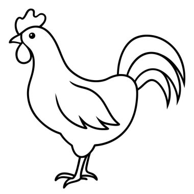 karikatür tavuk, vektör veya renk çizimi