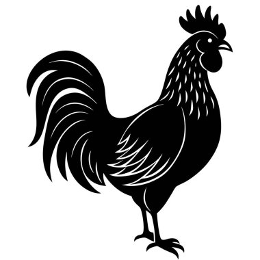 Siyah horoz silueti beyaz arkaplanda izole edildi