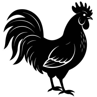 Horoz vektör görüntü.