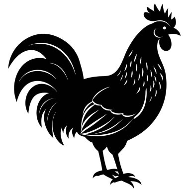 Beyaz arka planda siyah horoz