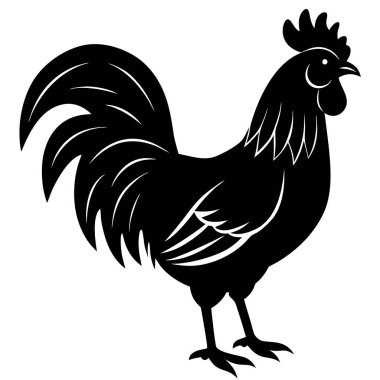 tavuk horozu vektör illüstrasyonu