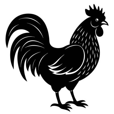 Tavuk tavuğunun vektör çizimi