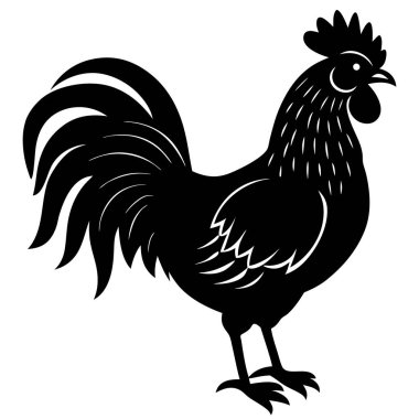 Horoz vektör görüntü