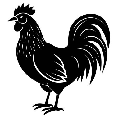 Horoz, beyaz arka planda horoz silueti