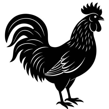 Beyaz arkaplanda tavuğun vektör silueti