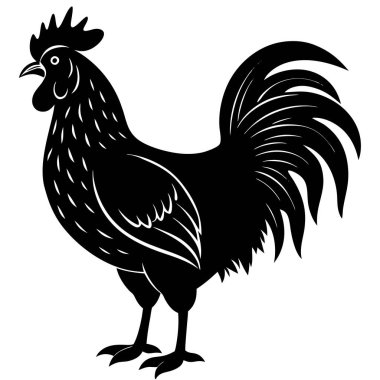 Beyaz Arkaplanda Rooster Silueti