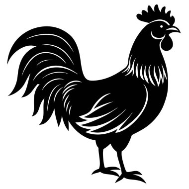 Beyaz Arkaplanda Rooster Silueti