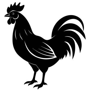 Beyaz arka planda siyah horoz