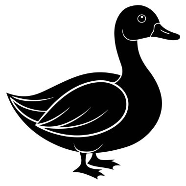 ördek, vektör, illüstrasyon, beyaz arkaplan