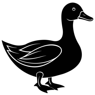 Ördek, illüstrasyon, izole edilmiş, siyah arkaplan