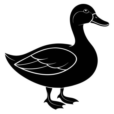 ördek vektör illüstrasyon