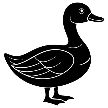 Ördek, illüstrasyon, vektör, beyaz arkaplan.