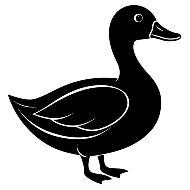 ördek vektör illüstrasyon