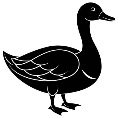 ördek vektör illüstrasyonu