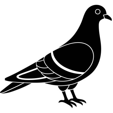 beyaz arkaplanda siyah güvercin