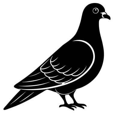 Güvercin ikonu. Web için güvercin vektör simgesinin basit çizimi