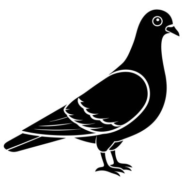 Siyah kuş beyaz üzerine