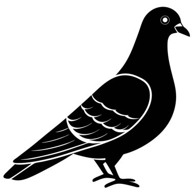 güvercin kuş simgesi, basit biçim