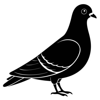 güvercin kuşu, illüstrasyon, beyaz arkaplan üzerindeki vektör.