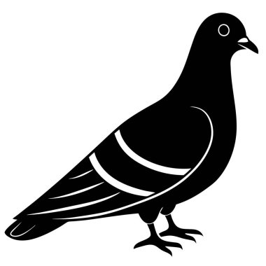 kuşun vektör illüstrasyonu